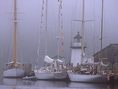 Mystic in Fog